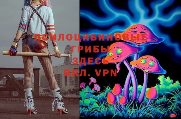 шишки Арсеньев