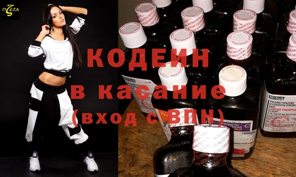 шишки Арсеньев