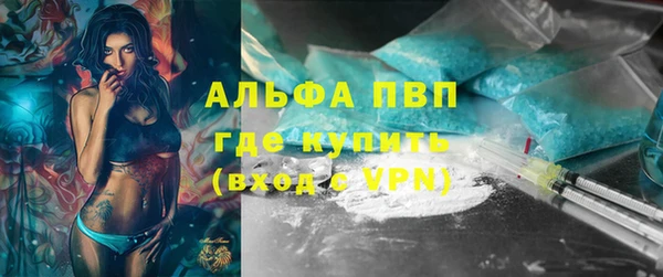 шишки Арсеньев