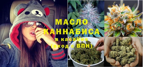 шишки Арсеньев