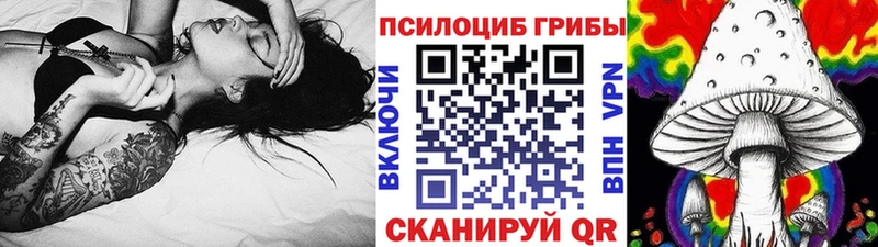 Галлюциногенные грибы Psilocybe  где найти наркотики  Махачкала 